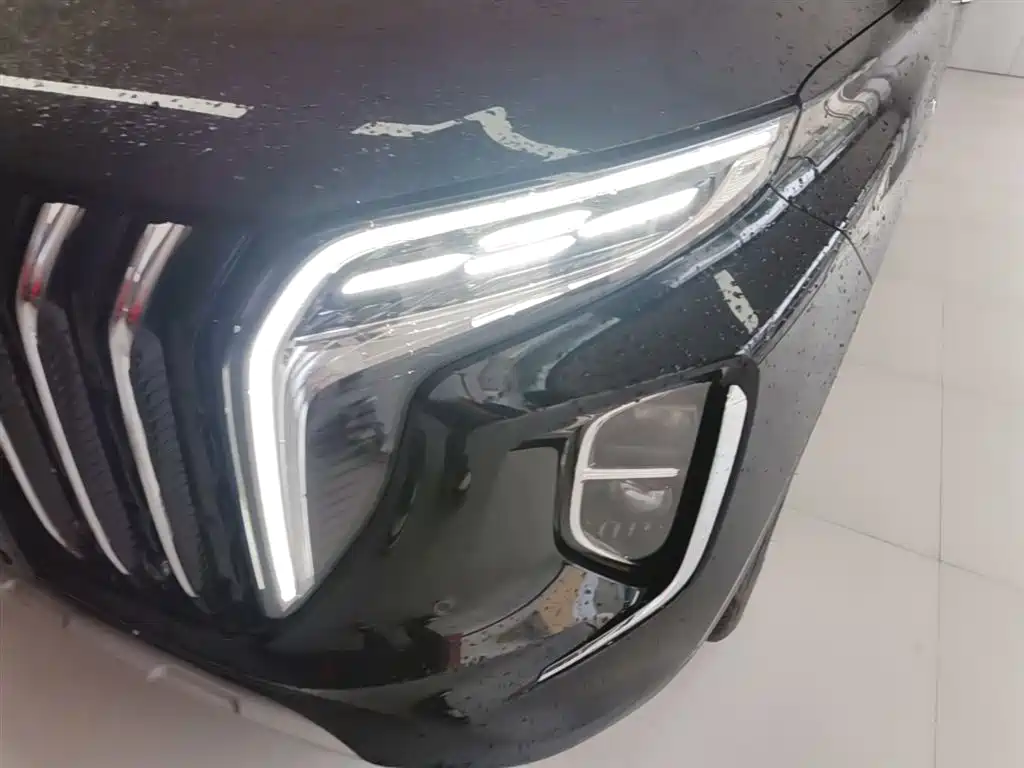 Hongqi HS7 PHEV 2024 2.0T PHEV 4WD Flagship Edition 6-seater фото 24