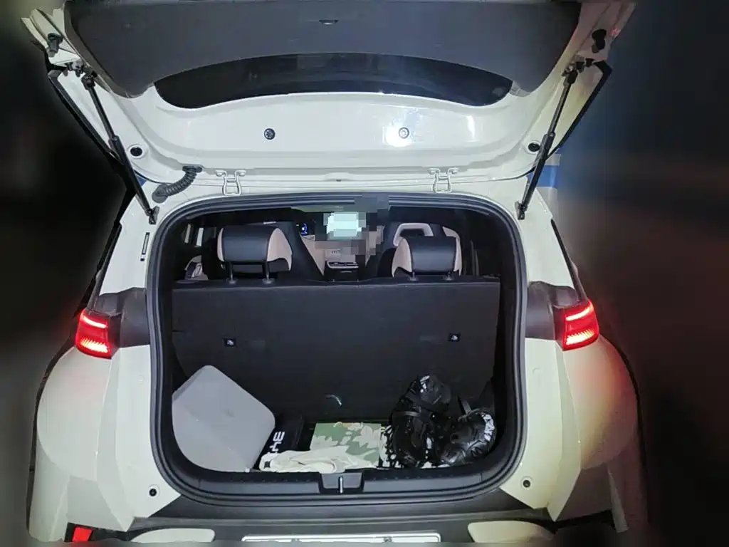 BYD Seagull 2026 2025 Smart Drive Edition 405km Free Edition