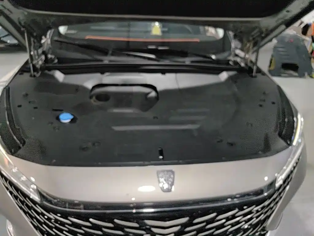 Roewe RX5 New Energy 2023 2023 eRX5 Super Hybrid Premium Edition