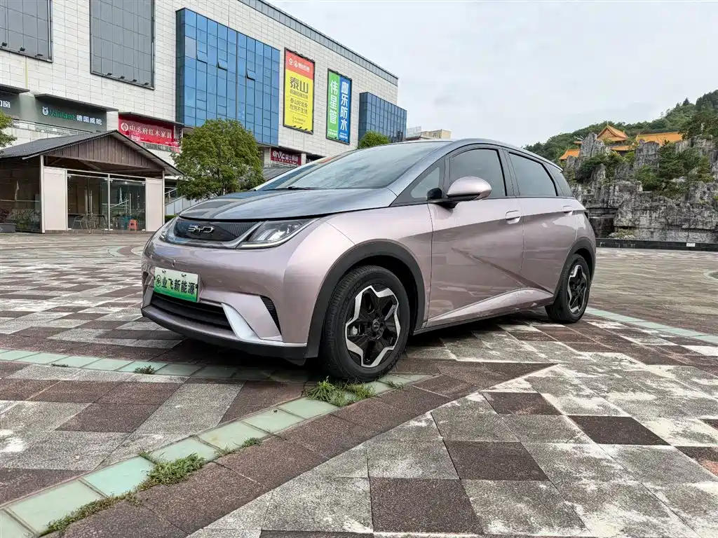 BYD Dolphin 2021 Model 405km Fashion Edition