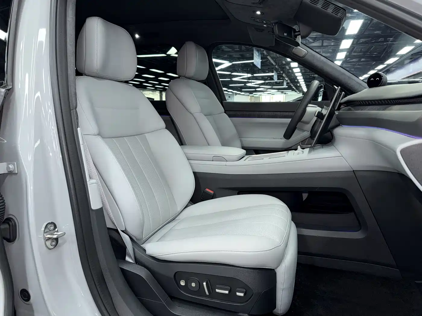 NIO ES8 2023 75kWh Executive Edition фото 11