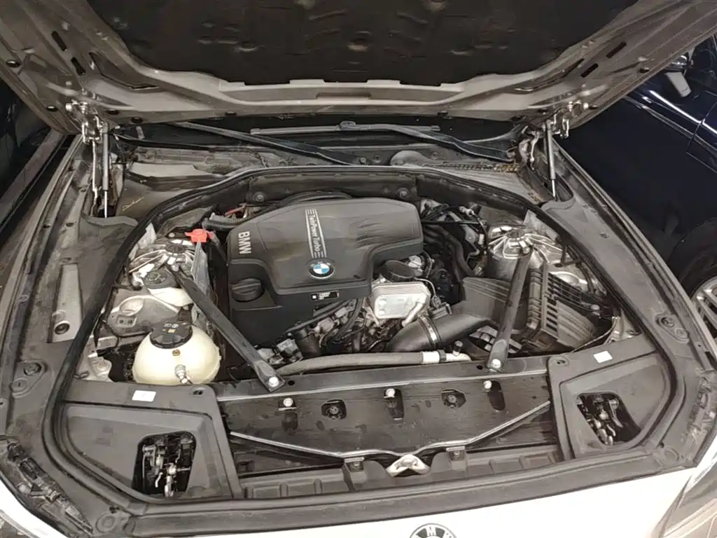 BMW 5 Series 2017 525Li Luxury Design Package фото 20