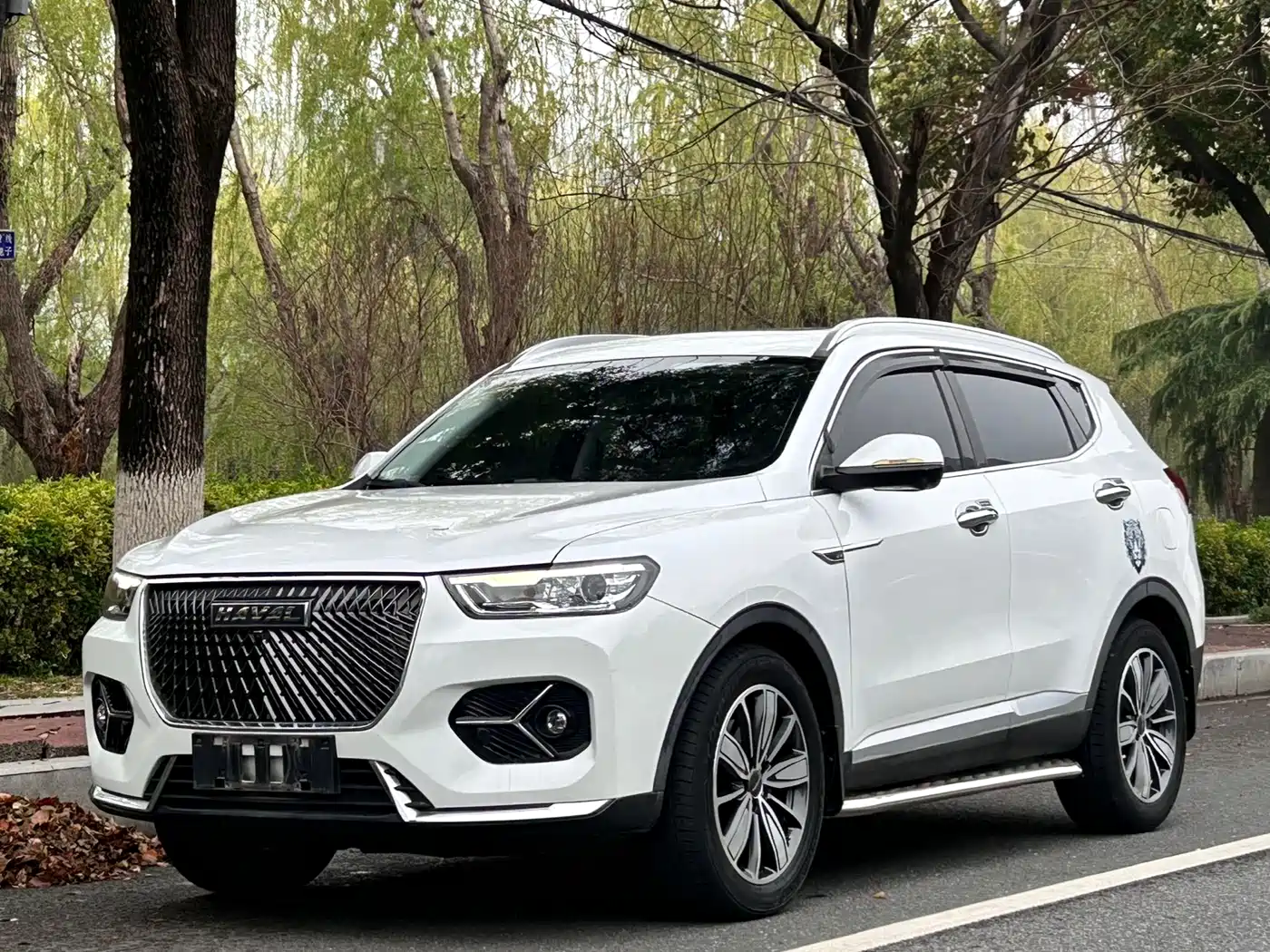 Haval H6 2021 Model National Trend Edition 1.5T Auto Champion