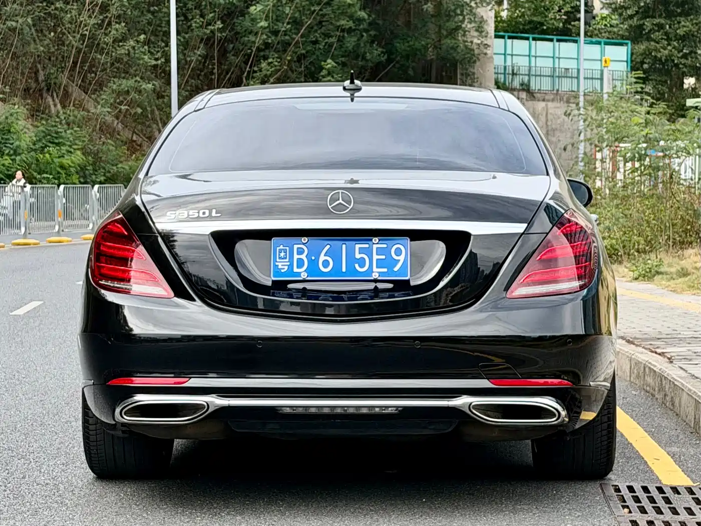 Mercedes-Benz S-Class 2020 S 350 L Premium Edition Collector's Version фото 5