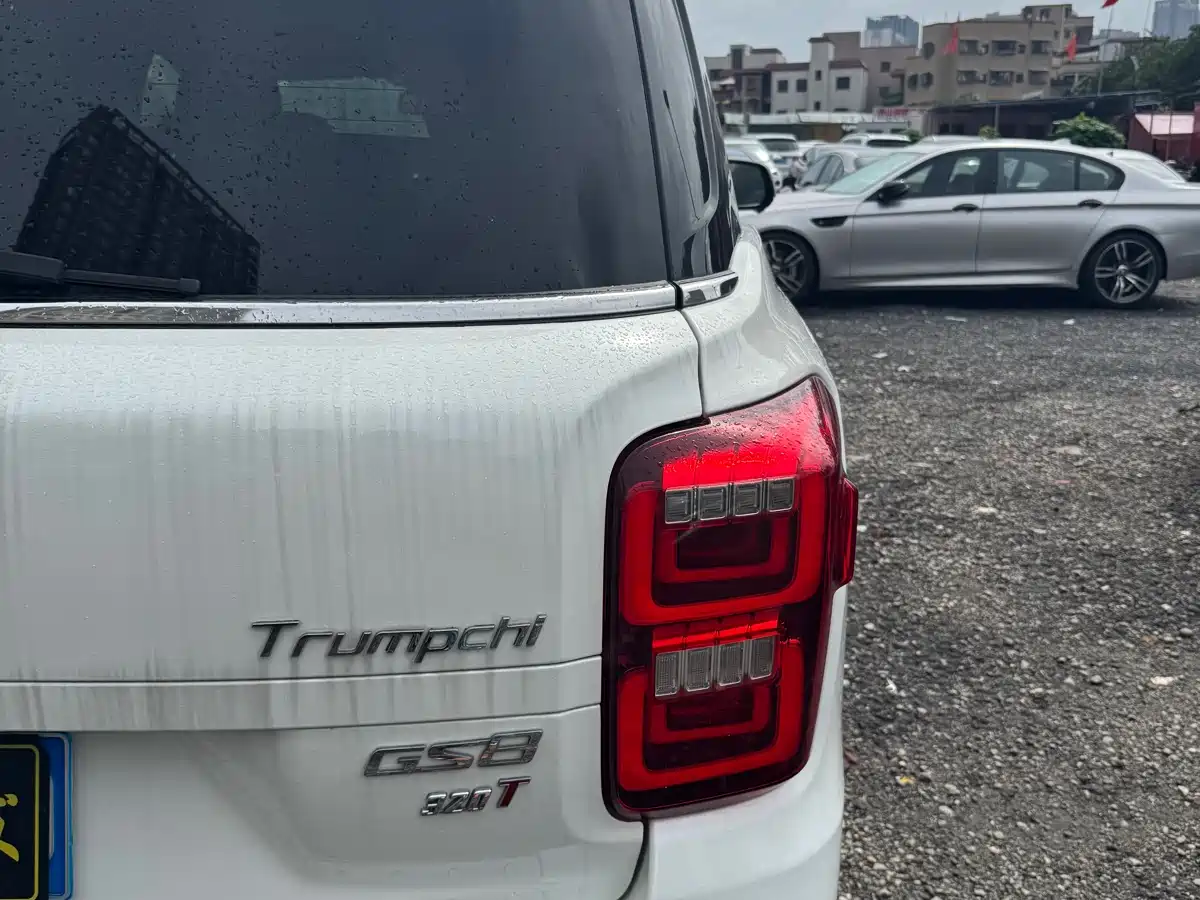 GAC Trumpchi Trumpchi GS8 2017 320T 2WD Luxury Smart Connect (7-seater) фото 18