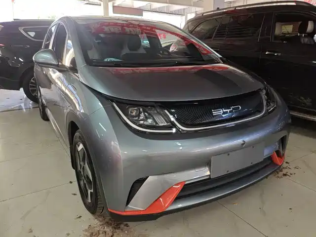 BYD Dolphin 2021 Model 405km Fashion Edition — фото 2