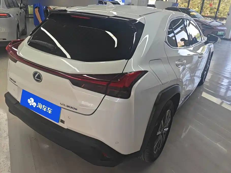 2022 Lexus UX Electric
