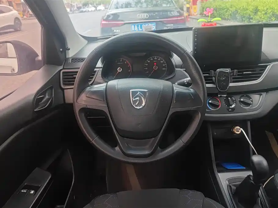 BAOJUN 310