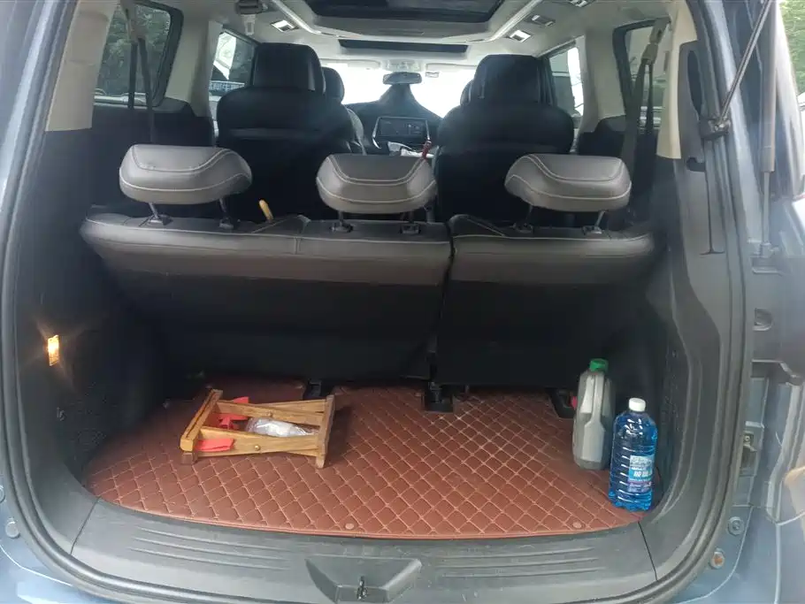 SAIC MAXUS CHASE G20