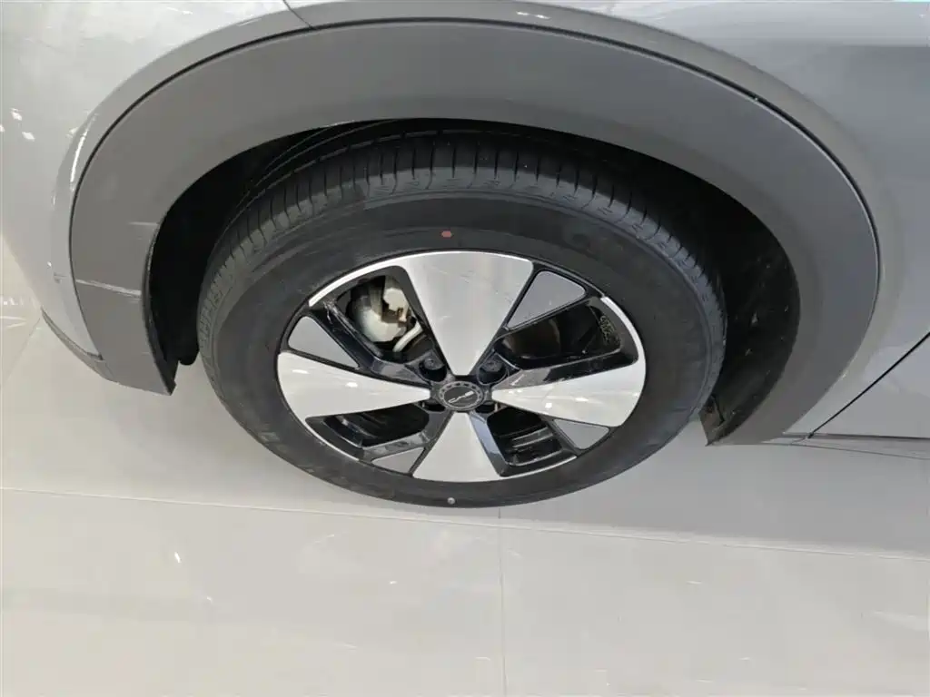 BYD Dolphin 2024 Glory Edition 420km Fashion Edition фото 23