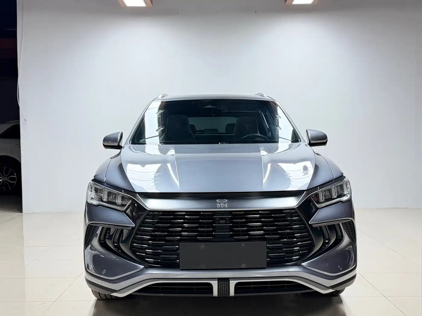 BYD Song Pro New Energy 2023 Champion Edition DM-i 110KM Excellence фото 2