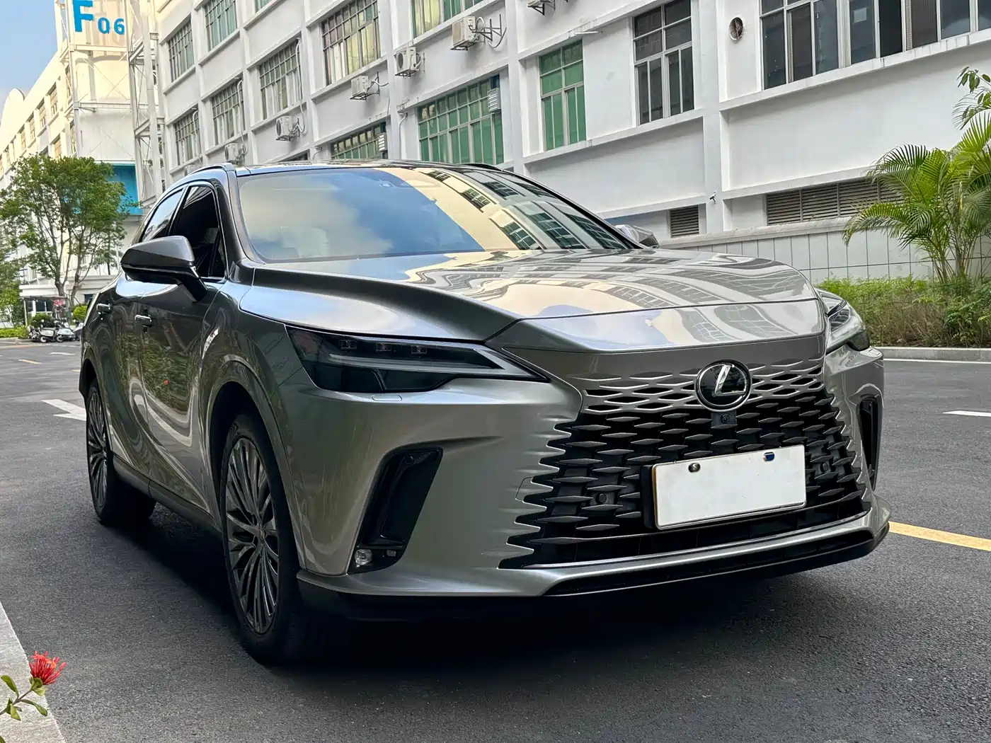 LEXUS RX
