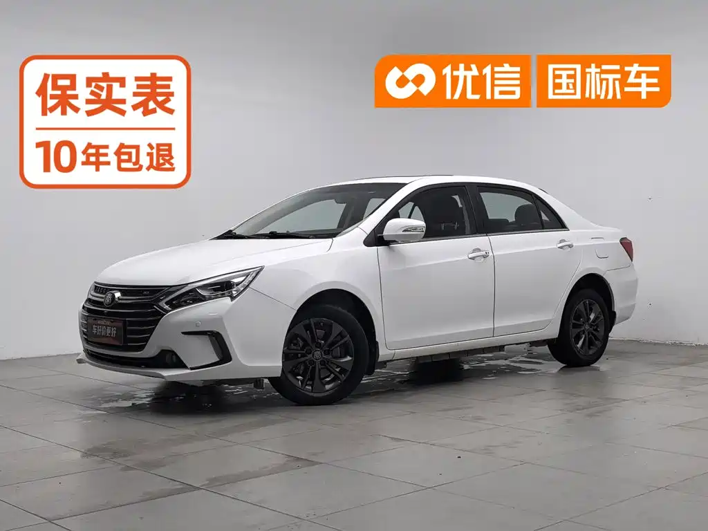 Фото 1 - BYD Qin New Energy