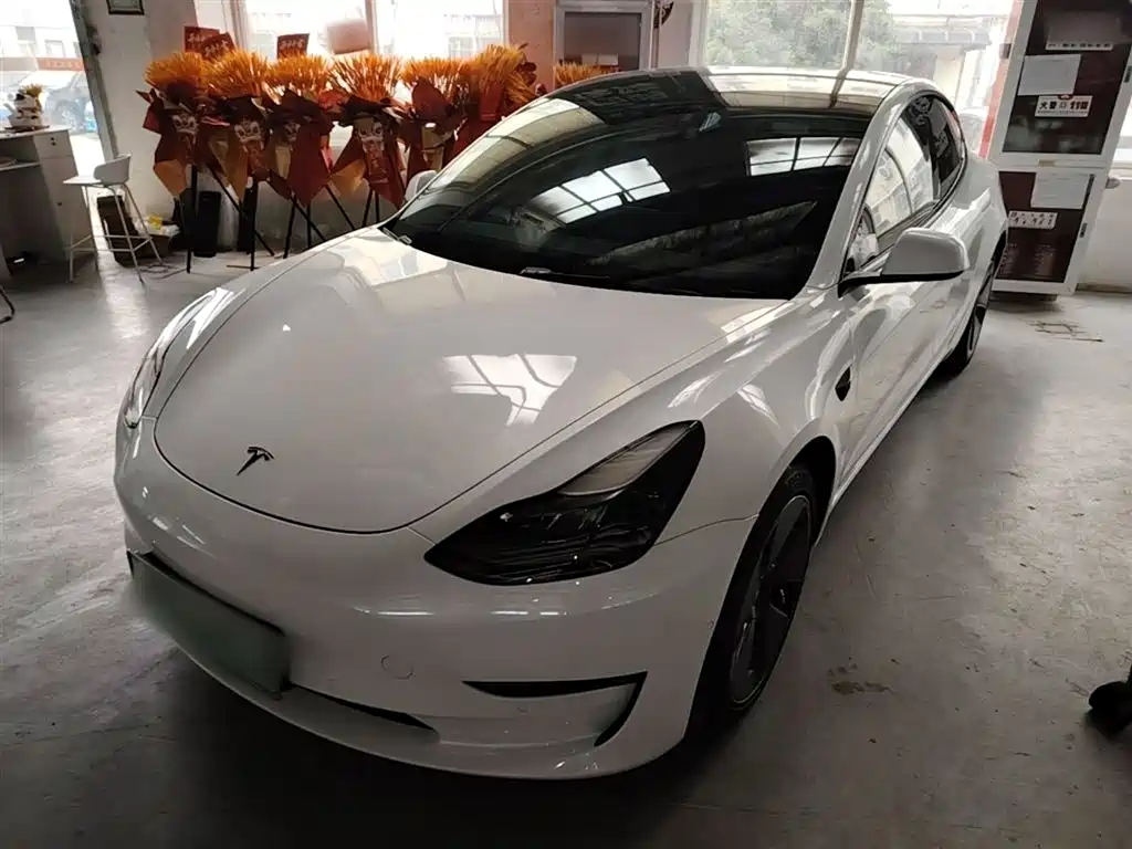 Tesla Model 3 2021 Facelift Standard Range RWD Upgrade 3D1