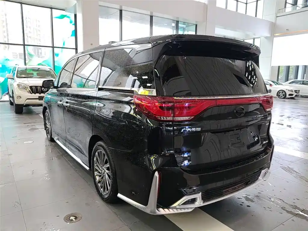 GAC Trumpchi Trumpchi M8 2021 Master Series 390T Ultimate Edition фото 5