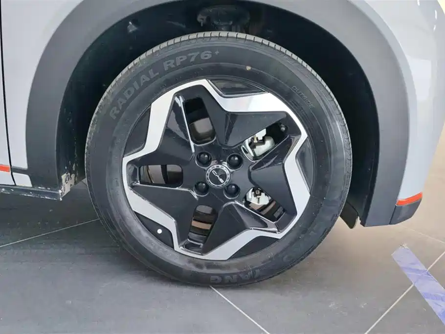 BYD Dolphin 2021 Model 405km Fashion Edition фото 6