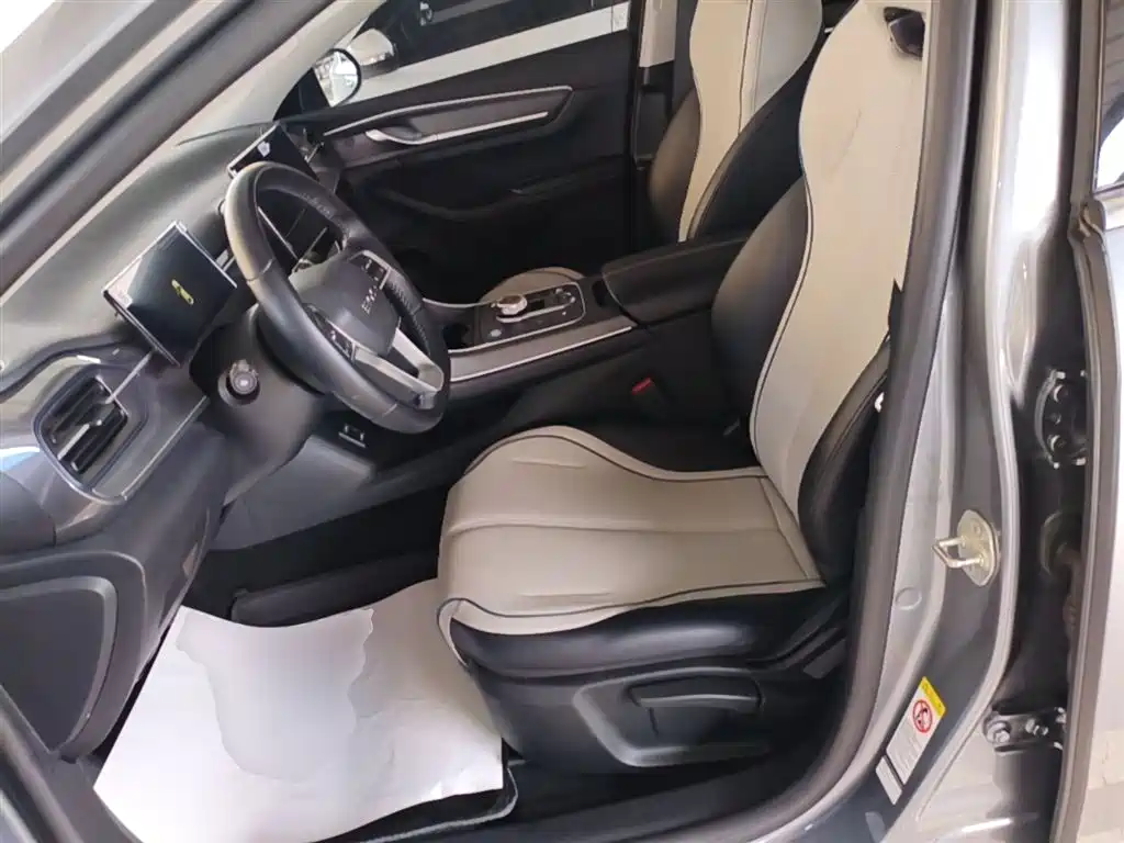 BYD Destroyer 05 2024 Glory Edition DM-i 55KM Luxury фото 15