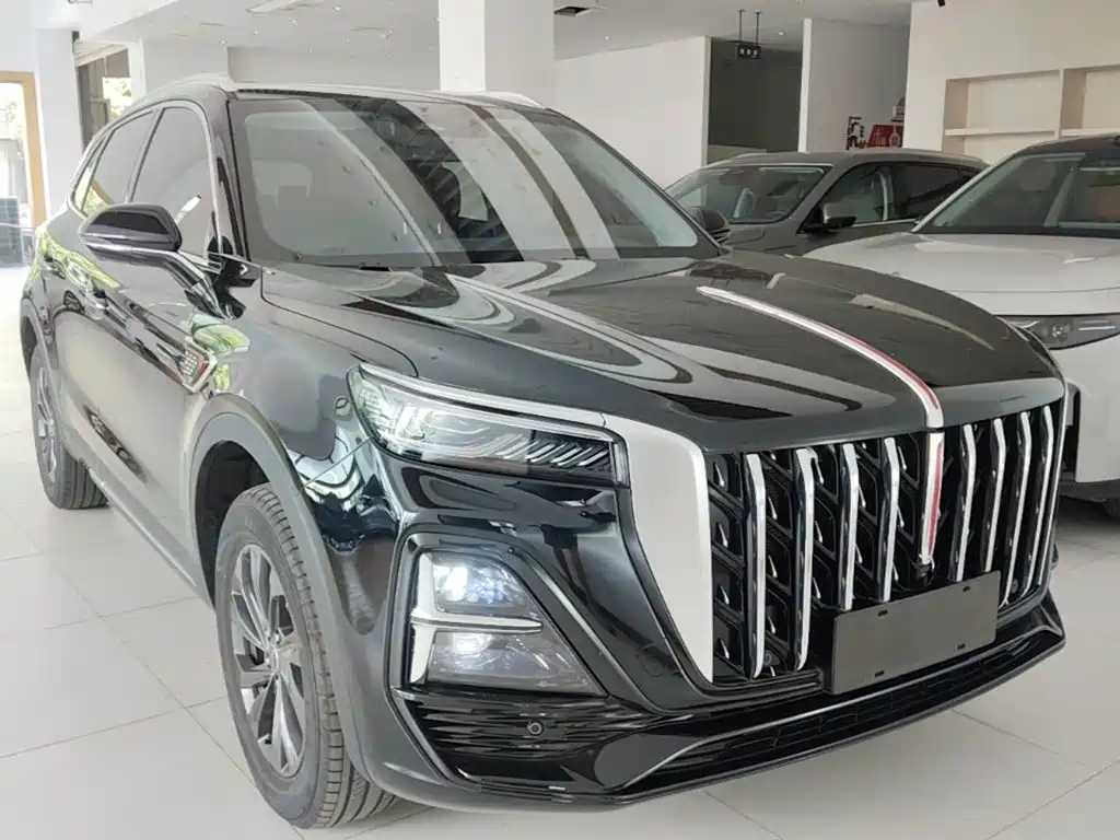 Photo 4 - Hongqi HS5
