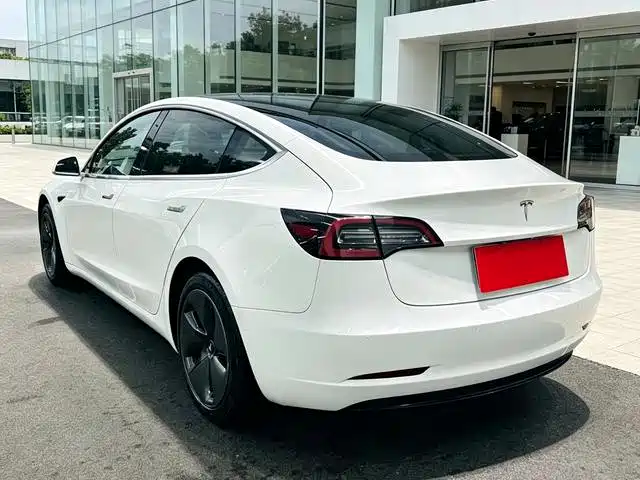 Tesla Model 3 (Import) 2019 2019 Long Range RWD Version