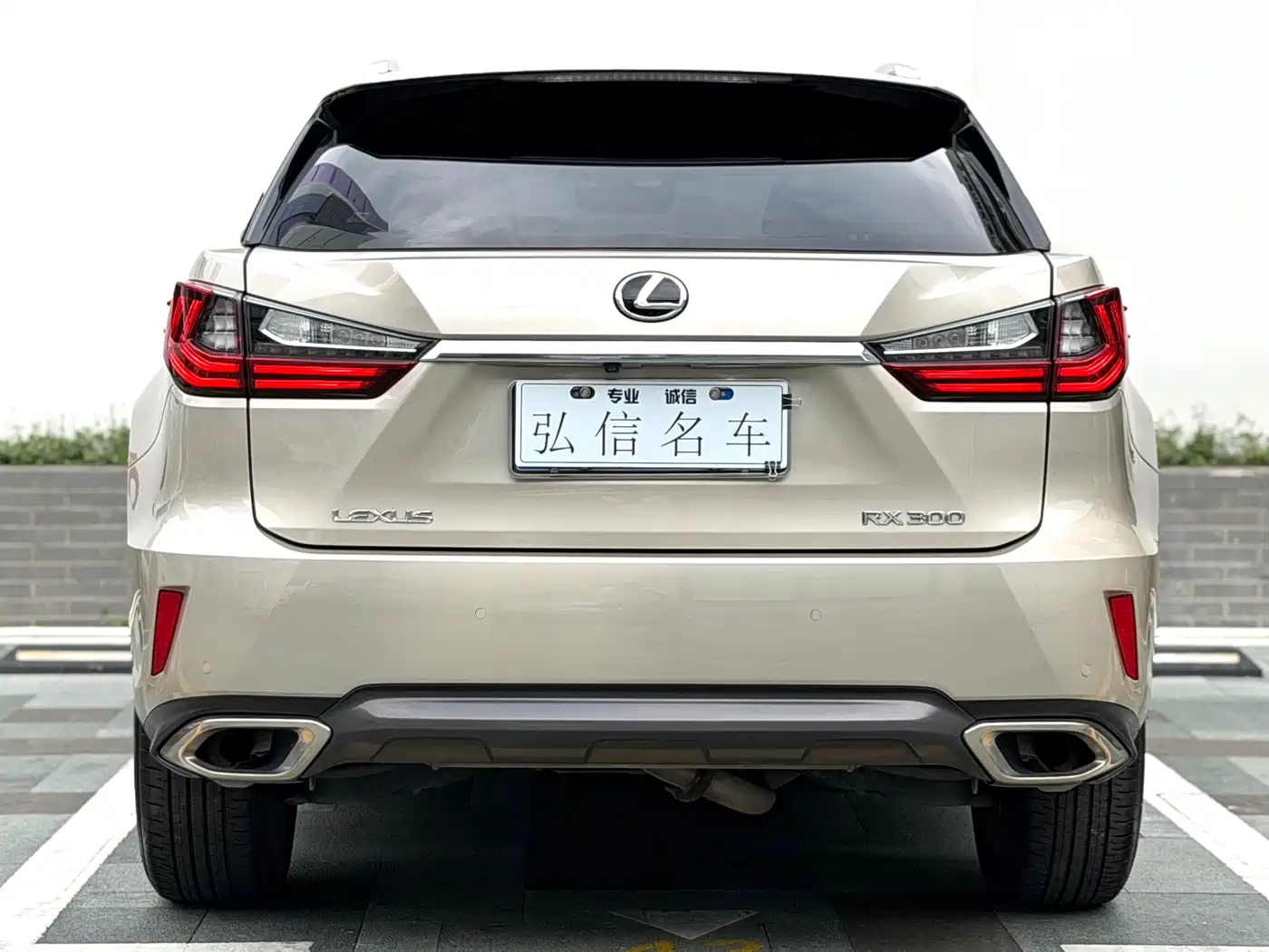 LEXUS RX