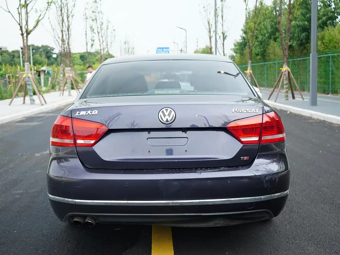 Volkswagen Passat 2014 1.8TSI DSG Luxury Edition фото 6