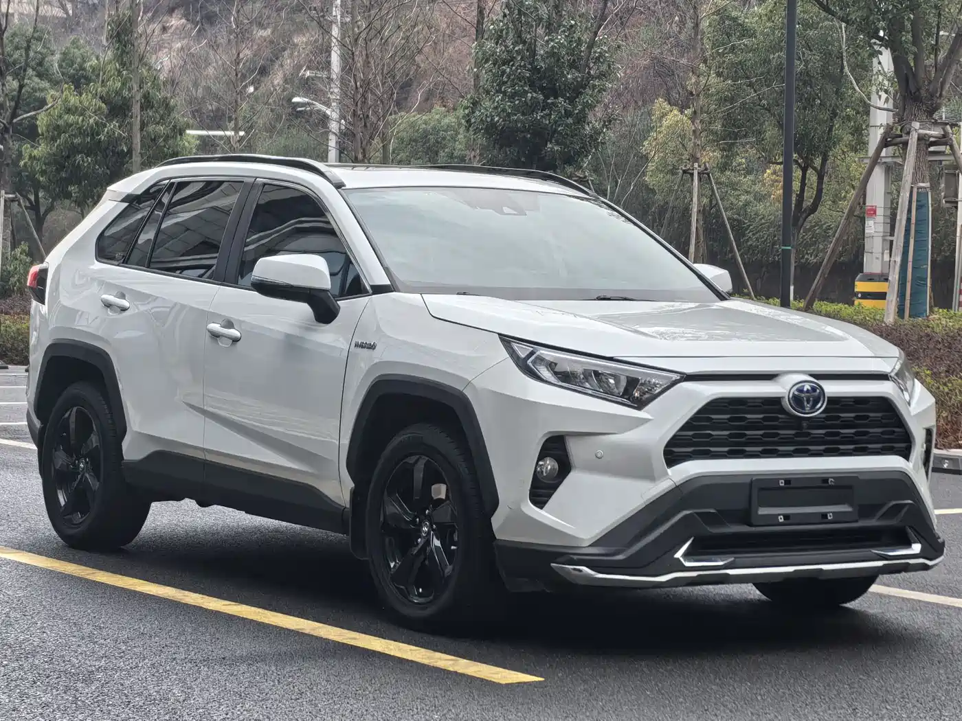 Toyota RAV4 Rongfang Dual Engine E+ 2021 2.5L 2WD Elite Pro фото 3