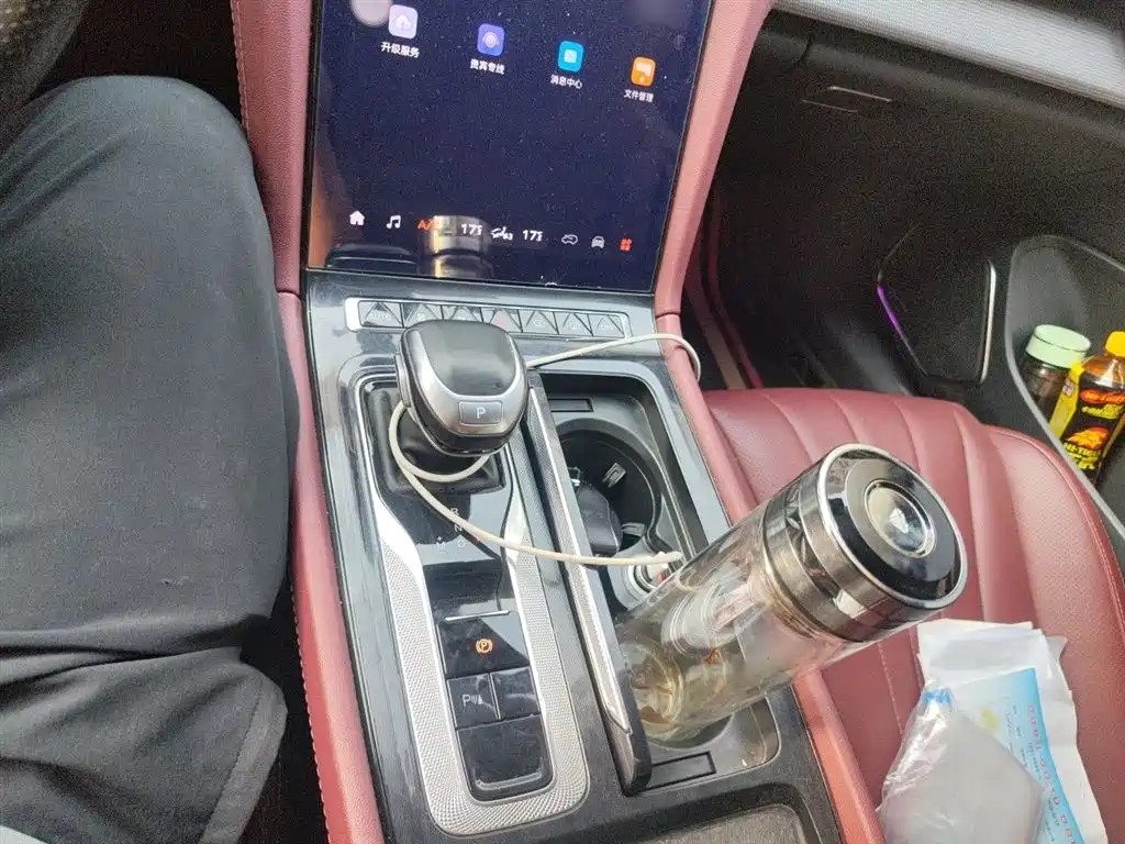 Hongqi H5 2023 1.5T DCT Smart Connect Flag Rhythm фото 7