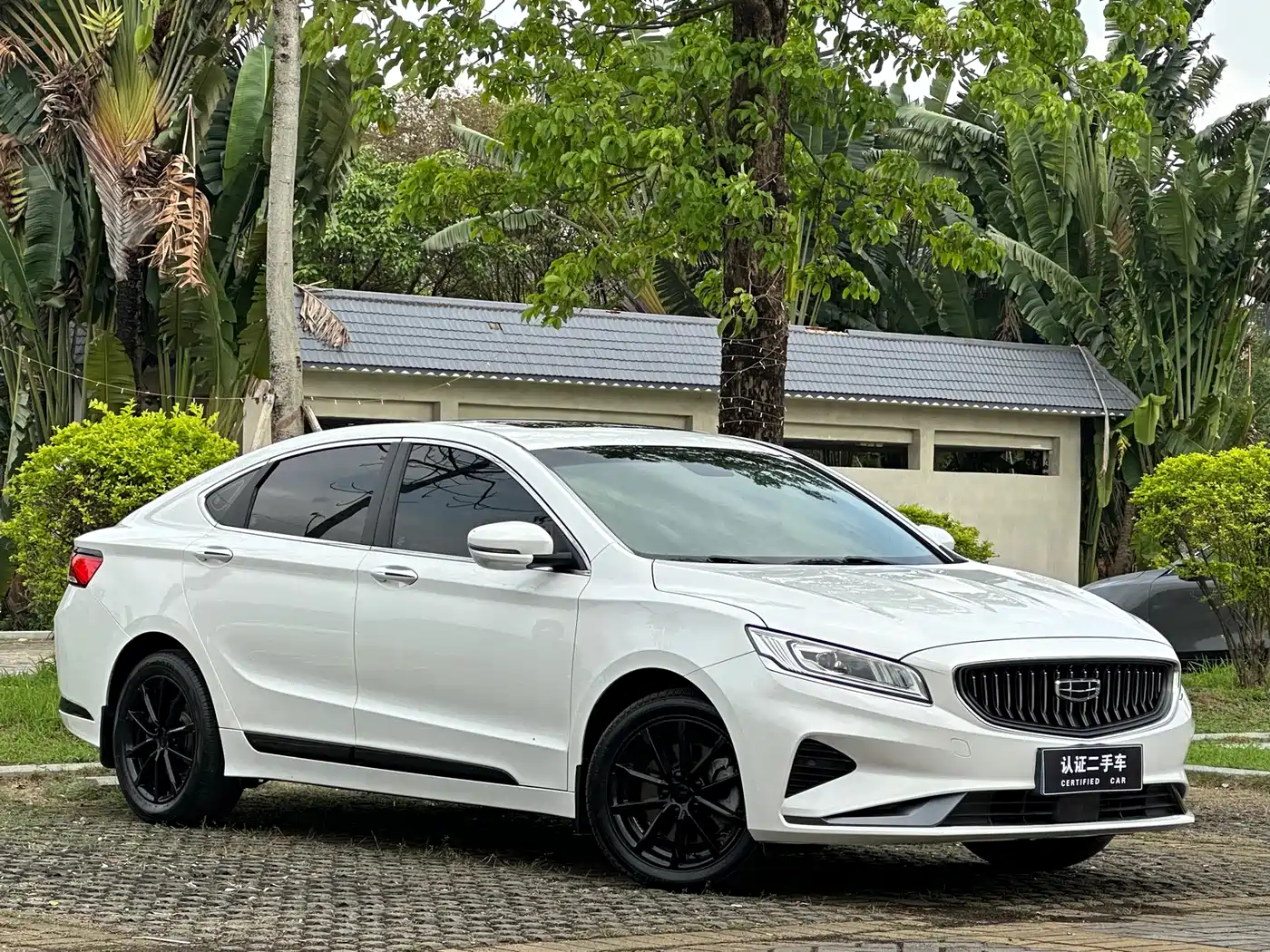 GEELY AUTOMOBILE BORUI