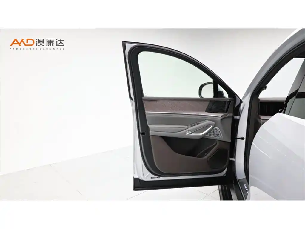 Denza N9 2025 2025 Flagship Model