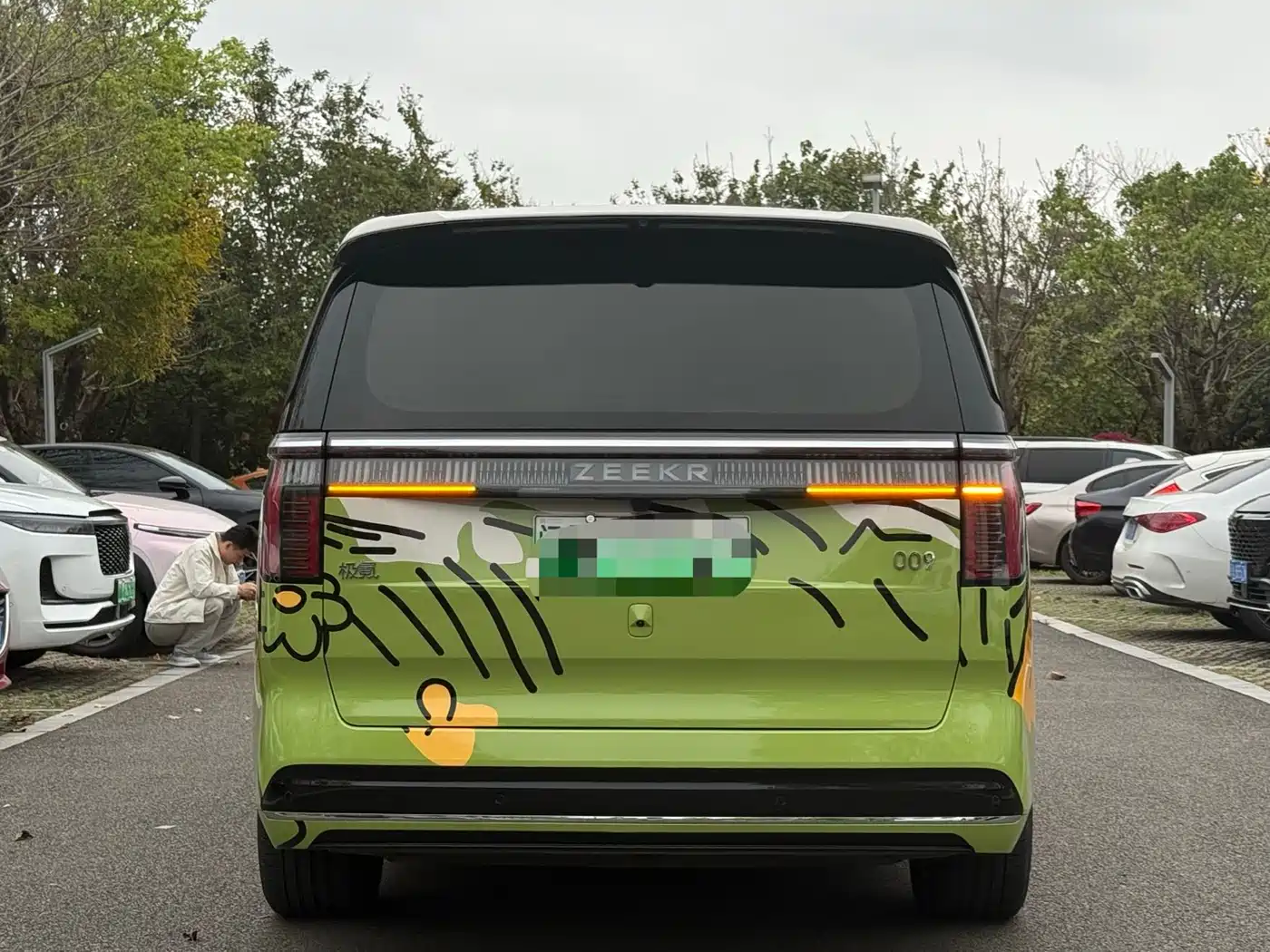 ZEEKR EXTREME KRYPTON 009