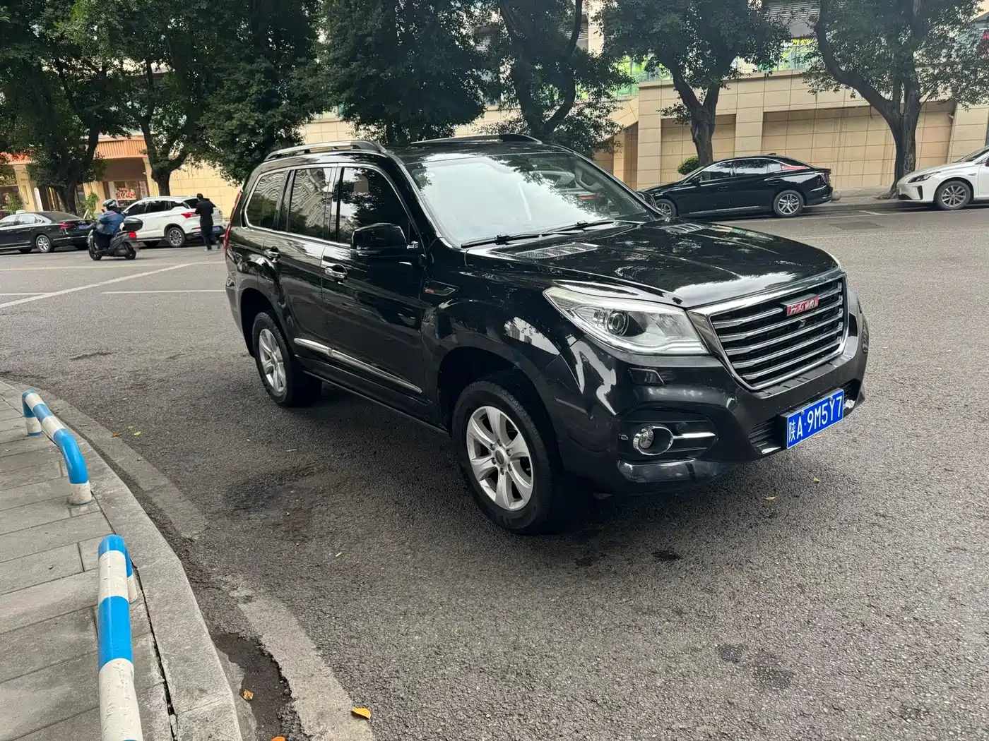 HAVAL H9
