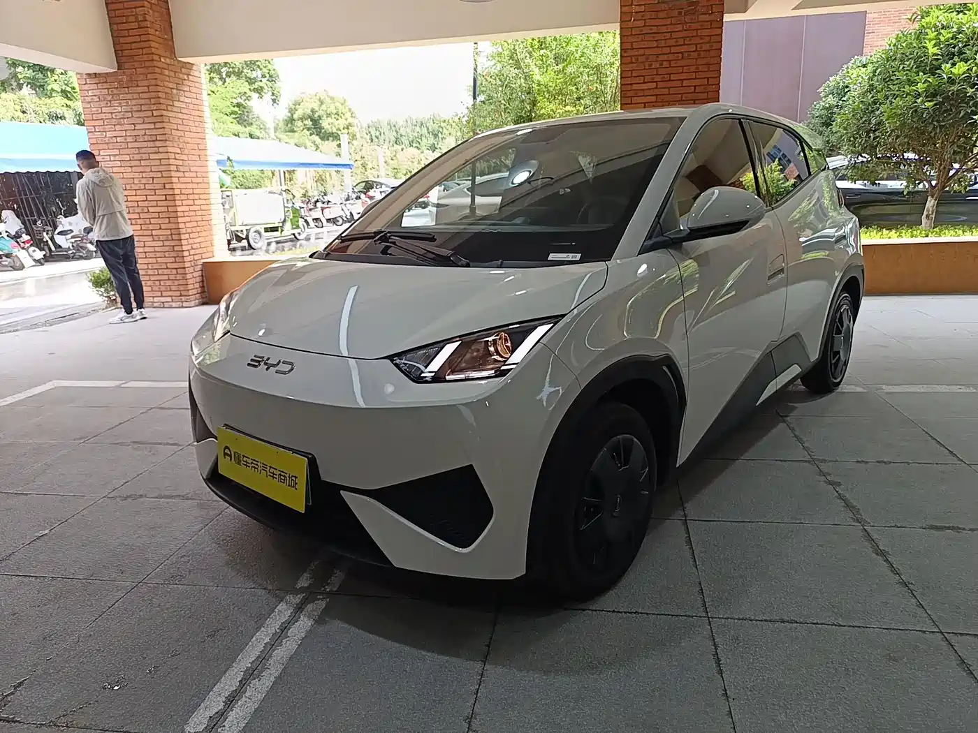 BYD Seagull 2026 2025 Smart Drive Edition 305km Vitality Version