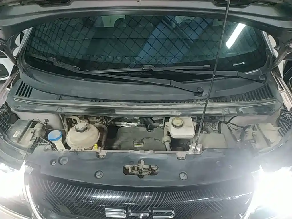BYD Dolphin 2021 2021 Model 405km Fashion Edition