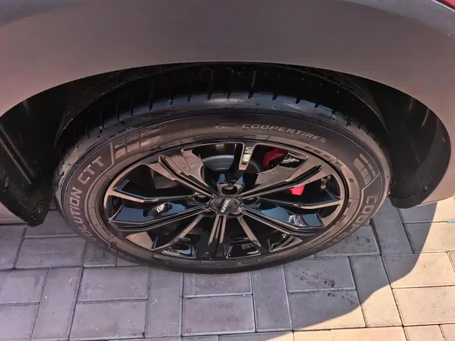Haval H6S 2021 2022 1.5T DHT Smart Run Edition