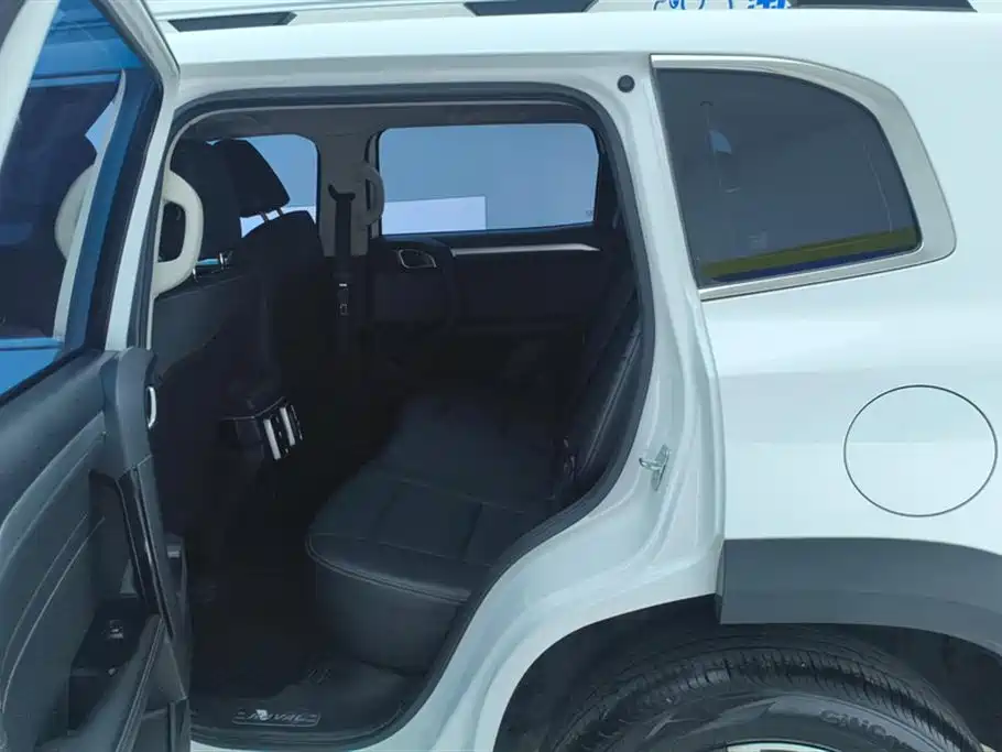 Haval Big Dog 2021 2.0T DCT 2WD Chinese Hound Edition фото 11