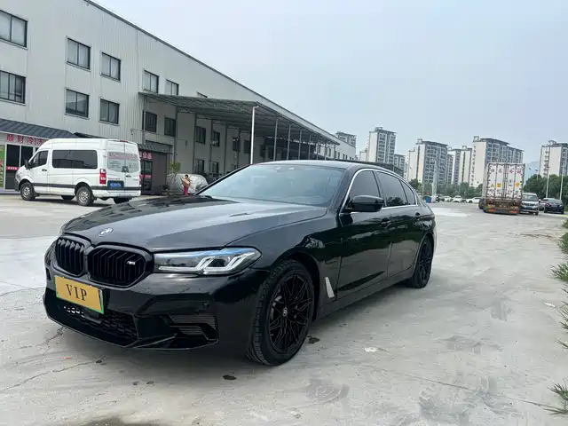  BMW BMW 5 Series New Energy 2020 530Le Luxury Package