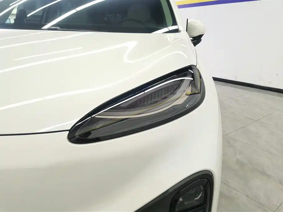 ARCFOX EXTREME FOX POLAR FOX KOALA S