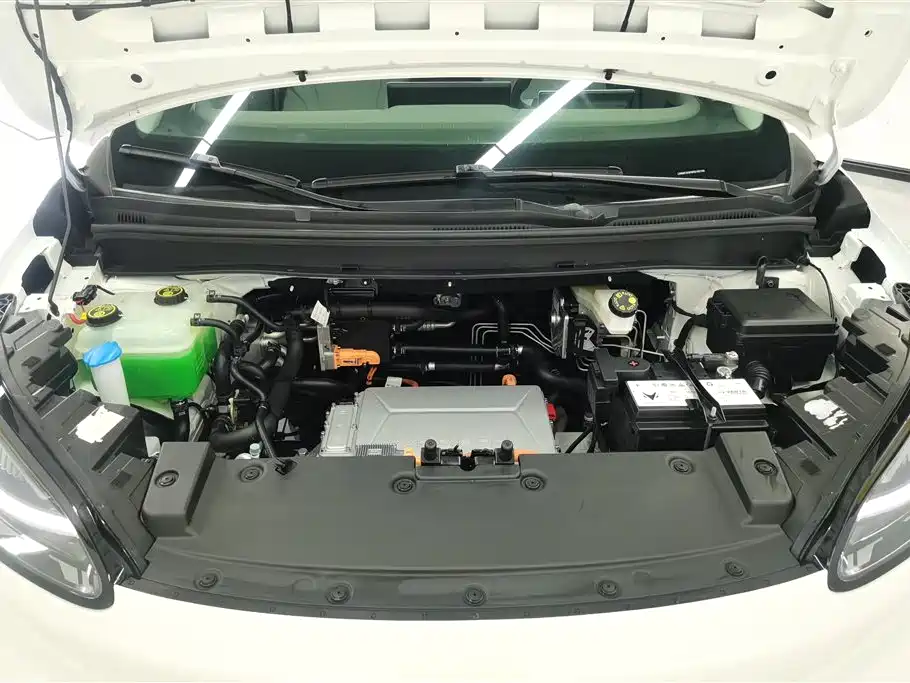 ARCFOX EXTREME FOX POLAR FOX KOALA S