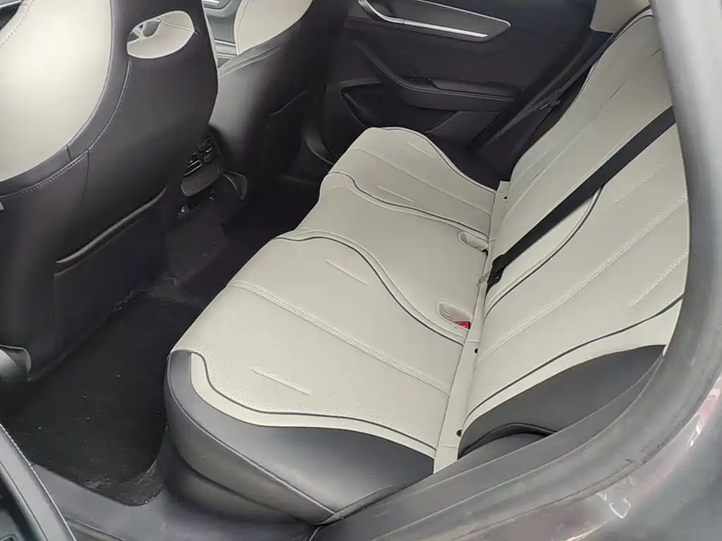 BYD Destroyer 05 2025 2024 Glory Edition DM-i 55KM Luxury