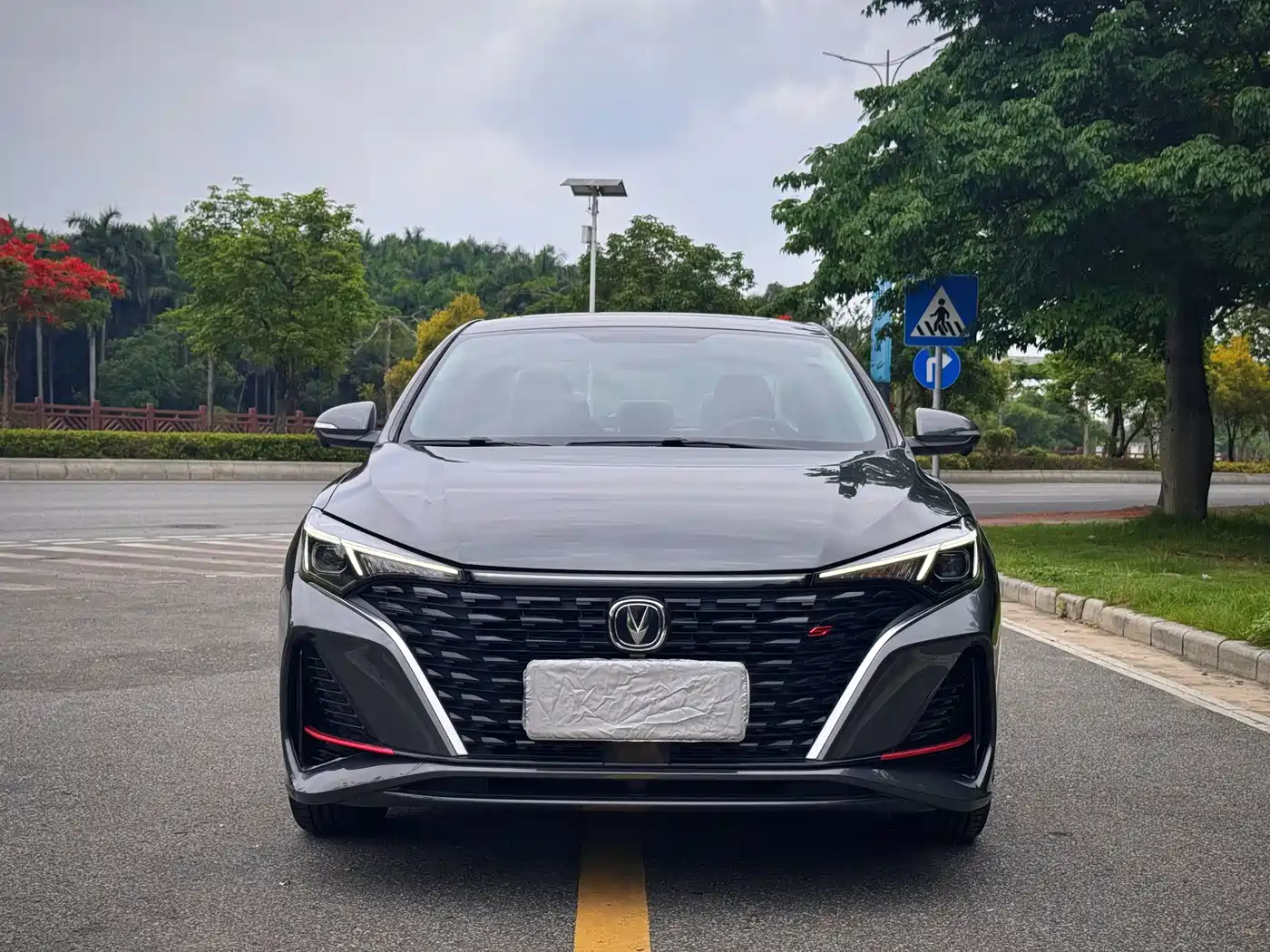 Changan Eado 2024 2023 Enjoy Edition PLUS Blue Whale NE 1.4T GDI DCT Premium Edition