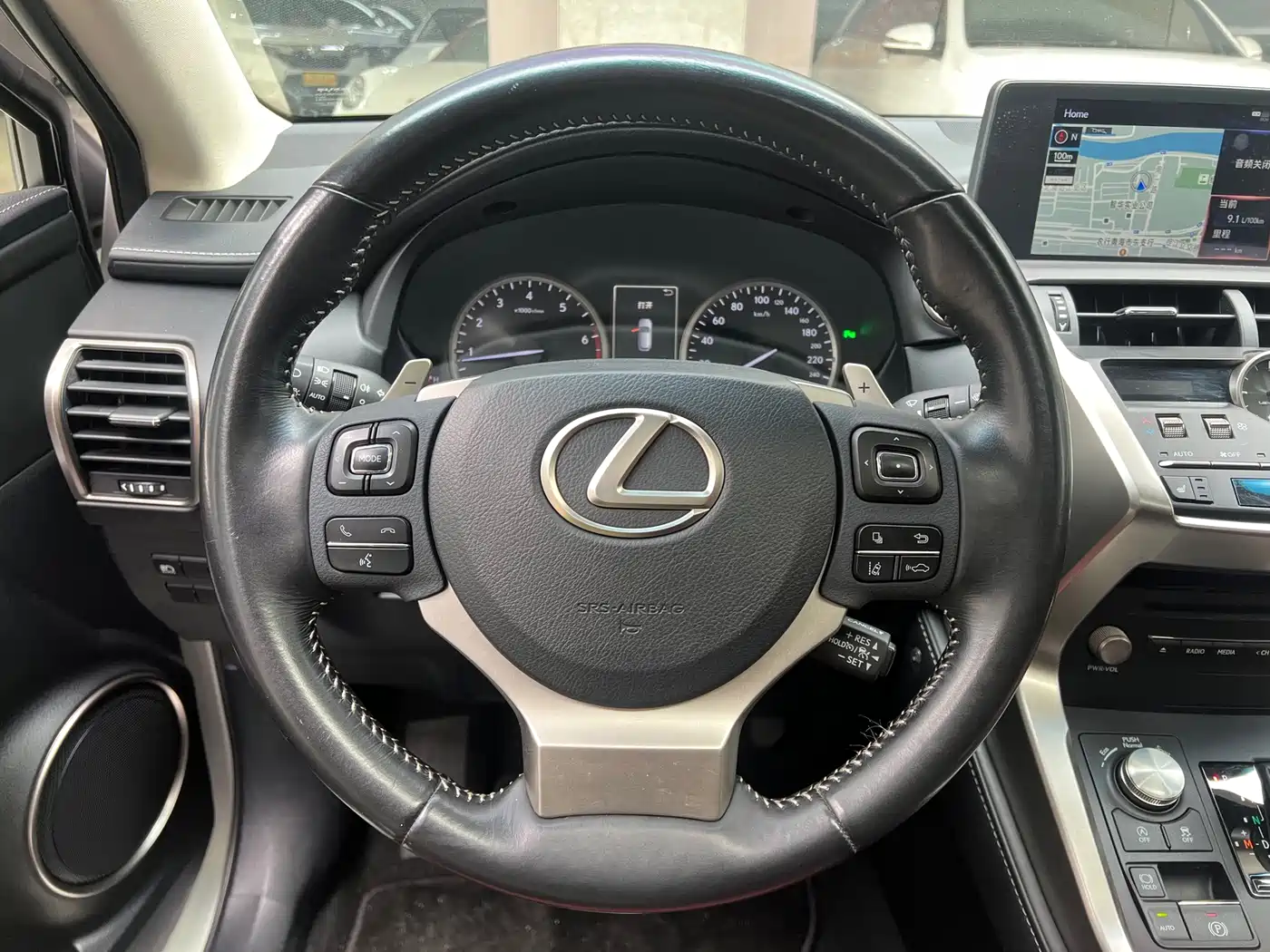 LEXUS NX