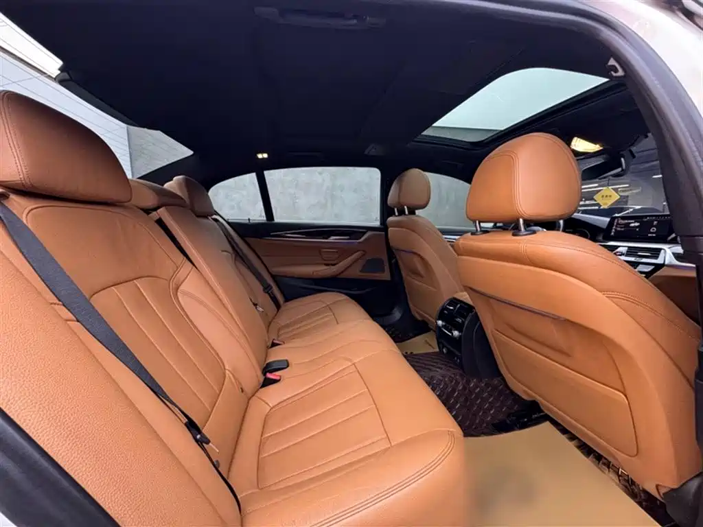 BMW 5 Series 2020 530Li Exclusive M Sport Package фото 10