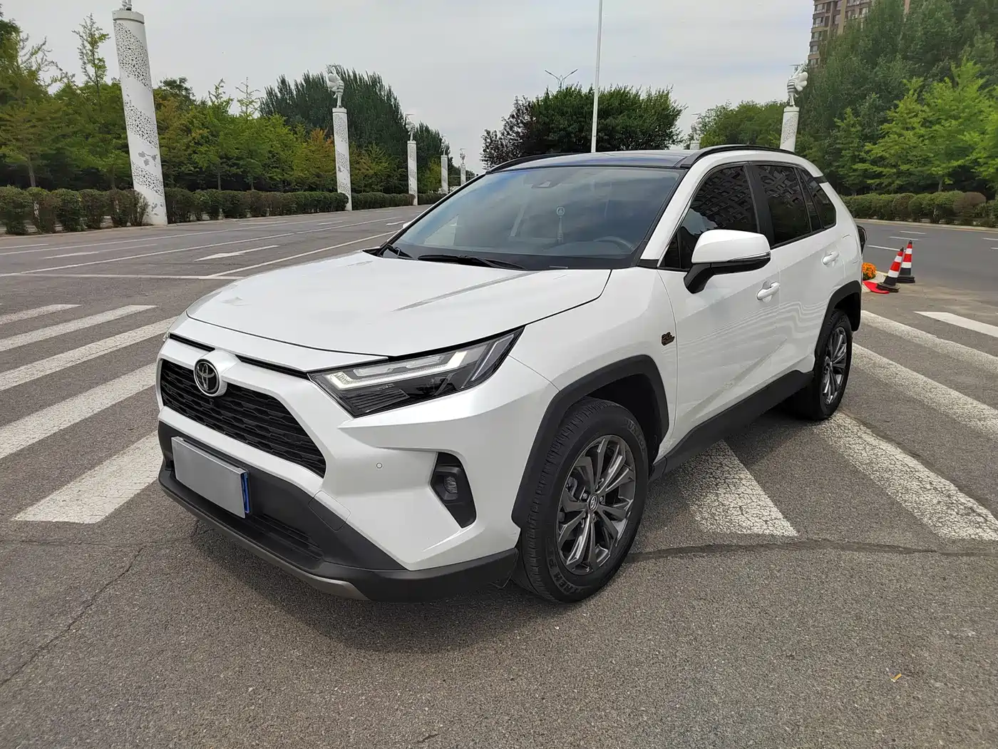 Toyota RAV4 Rongfang 2023 2.0L CVT 2WD 20th Anniversary Platinum Edition