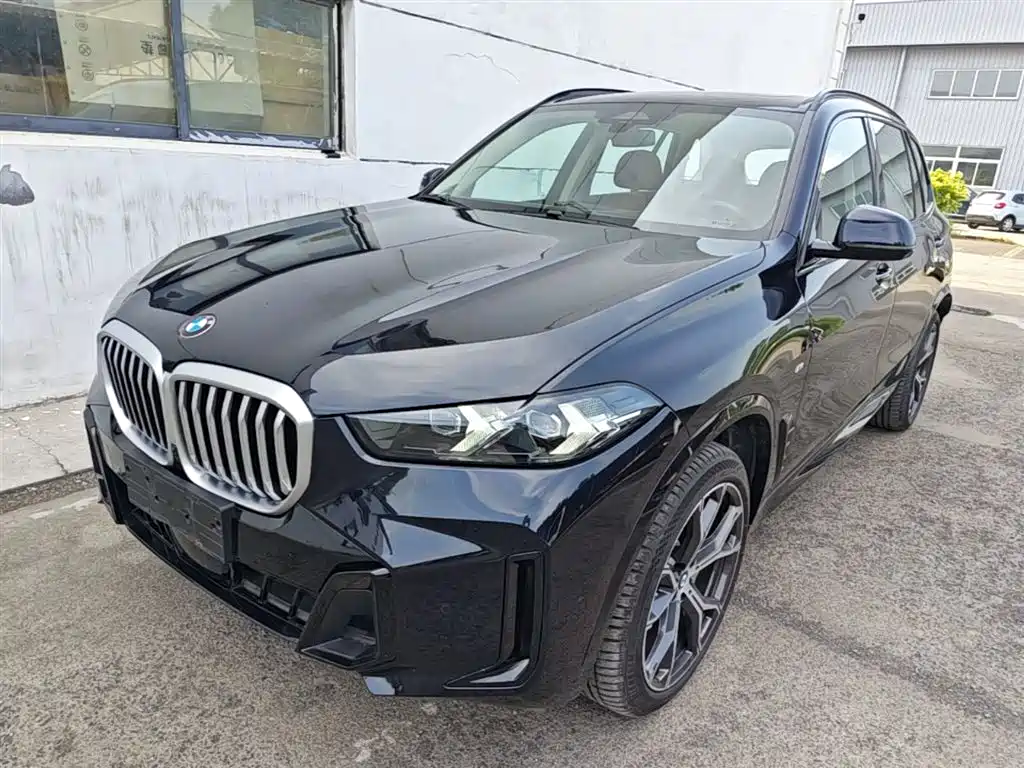 BMW X5 2023 xDrive 30Li Premium M Sport Black Night Package фото 2