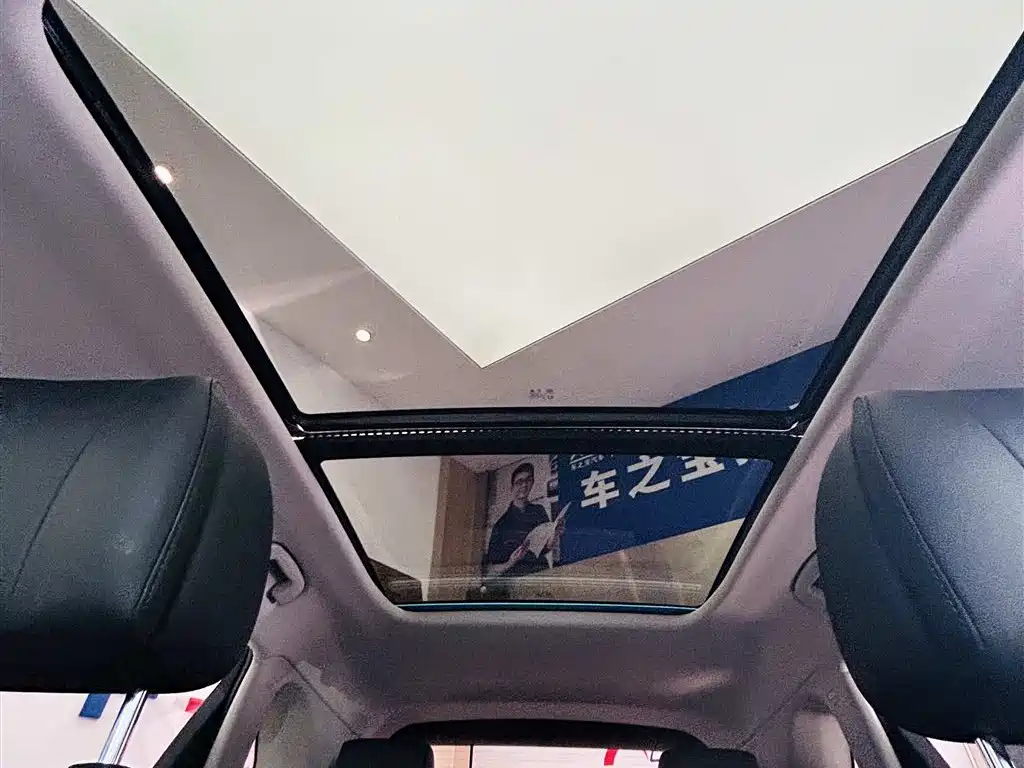 Hongqi HS5 2023 2.0T Flag Enjoy Pro Edition фото 25
