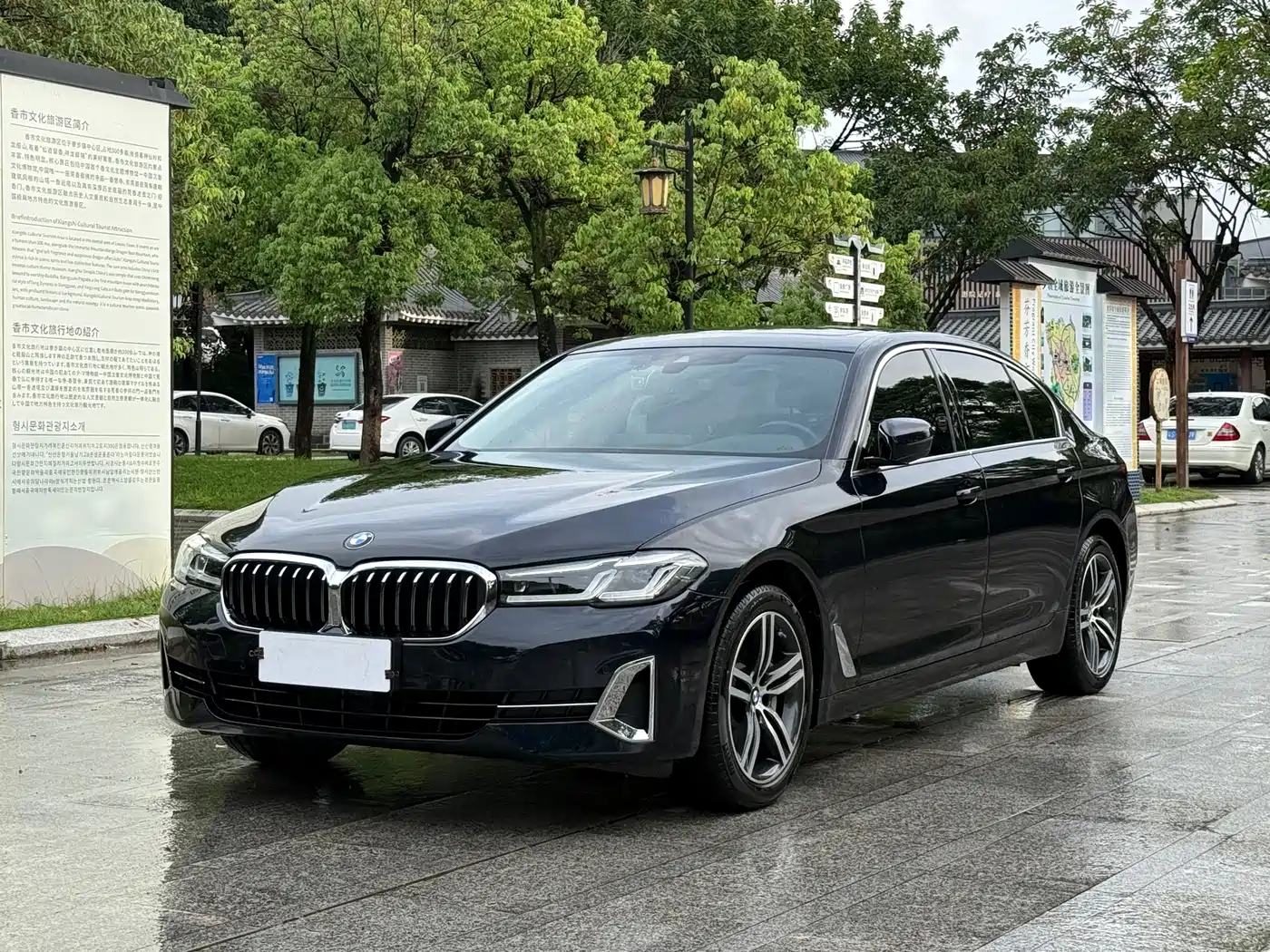 BMW 5 Series 2022 530Li Leading Luxury Package
