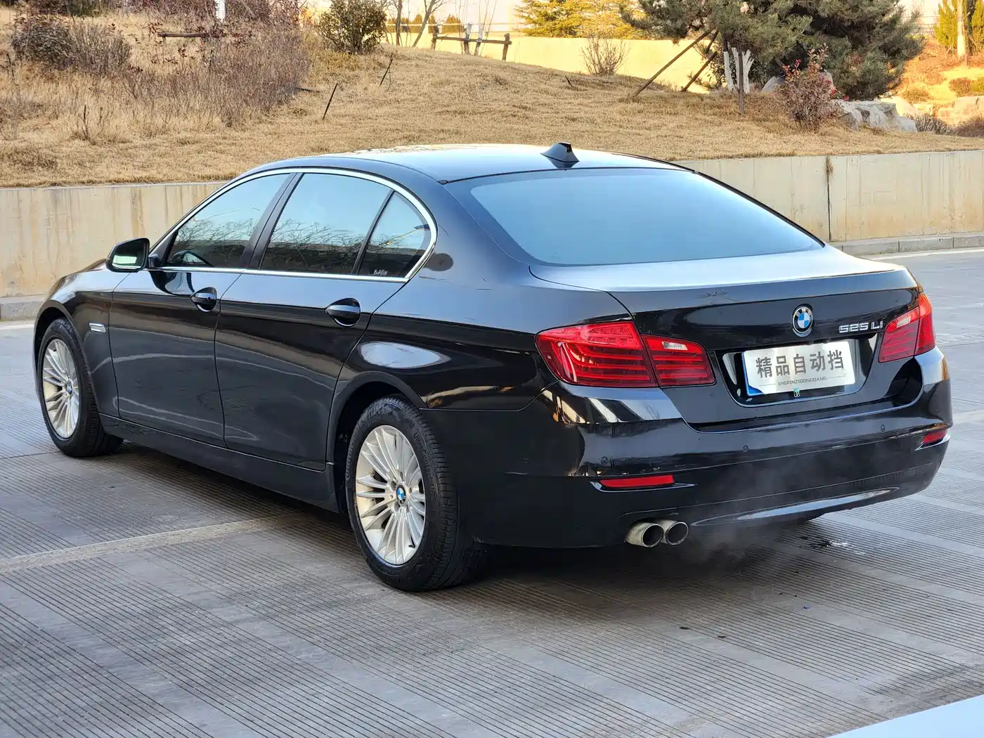 BMW 5 Series 2014 525Li Leading фото 4