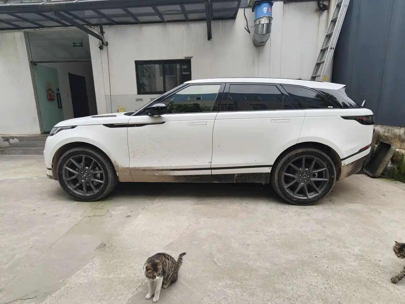 Land Rover Range Rover Velar 2024 Dynamic HSE фото 4