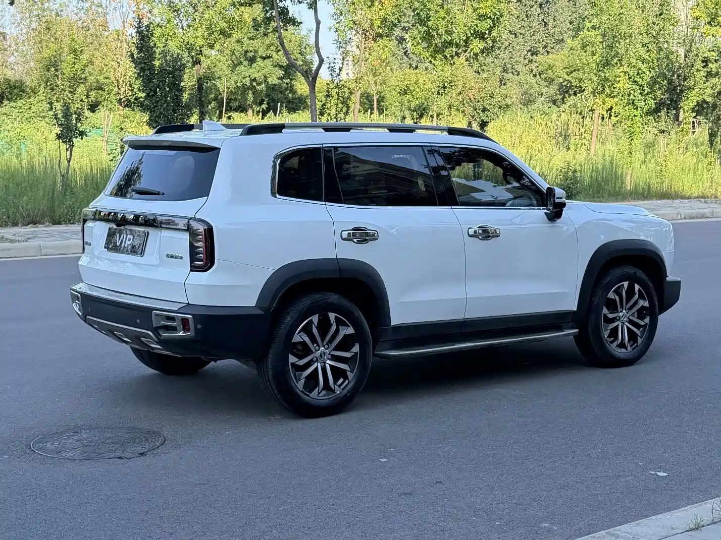 Фото 6 - Haval Dargo