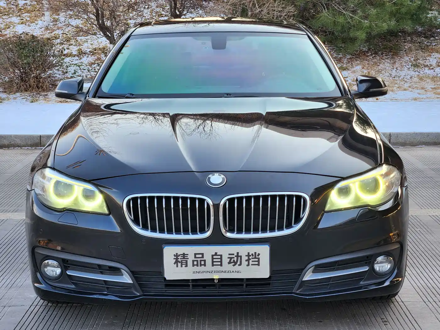 BMW 5 Series 2014 525Li Leading
